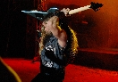 Zakk Wylde 12
